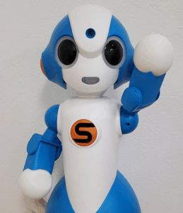SOTAの紹介